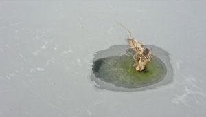 Kars Barajı'nın yüzeyi buz tuttu