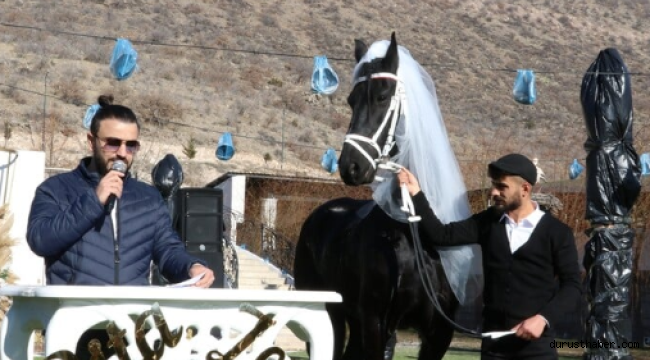 Kayseri'de çiftliğin yeni üyesi atlara düğün yaptılar