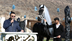 Kayseri'de çiftliğin yeni üyesi atlara düğün yaptılar