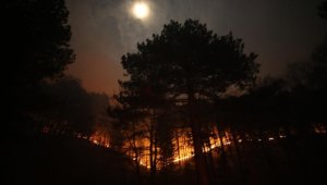 Kaz Dağları'nda çıkan örtü yangınına müdahale ediliyor