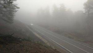 Kazdağları'ndan geçen kara yolunda yoğun sis etkili oluyor