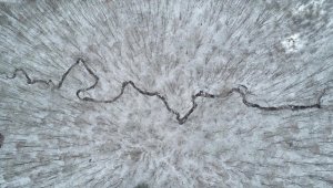 Kırklareli'nde karla kaplanan Istranca ormanları havadan görüntülendi