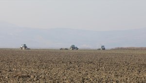Kuruyan Marmara Gölü'nün 35 bin dekarlık bölümünde tarım başladı