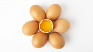 Kuş gribi salgını ve enflasyon, ABD'de yumurta fiyatlarını uçurdu