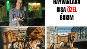 Özenle korunuyorlar