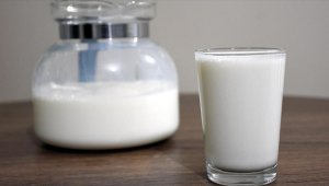 Süt üreticilerine 2023-2024 yıllarında verilecek çiğ süt desteğine ilişkin esaslar belli oldu