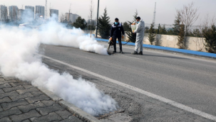 Talas'ta sinek ve haşerata erken önlem