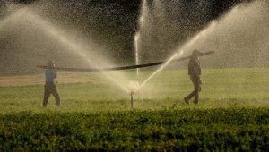 Tarım yatırımlarında bu yıl en büyük pay sulama projelerine ayrıldı