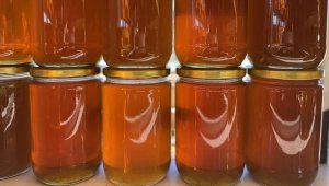 Türk balı geçen yıl 59 ülkenin sofralarında yer buldu