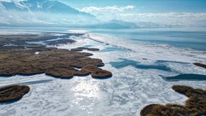 Van'da onlarca türden kuşun konakladığı Dilkaya Sazlığı'nın yüzeyi büyük oranda buz tuttu