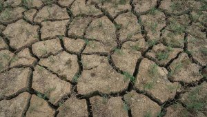 Yağışlar yüzde 40,6 azaldı, Marmara ve İç Ege'de kuraklık kritik seviyelere geldi