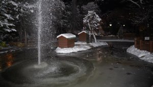 Ankara'nın simgelerinden Kuğulu Park'taki havuz buz tuttu