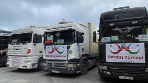 Azerbaycan ve Gürcistan'dan gelen 80 yardım tırı Sarp Sınır Kapısı'ndan giriş yaptı