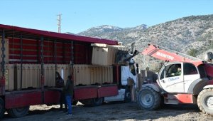 BAE'nin deprem bölgesine yardımları sürüyor