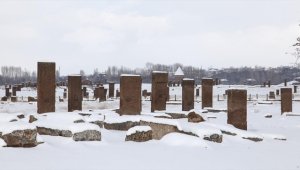 Bitlis'te tarihi yapılar karla kaplandı