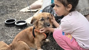 Can dostlarını depremden sonra yerleştiği çadır kentte de yanından ayırmıyor