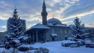 Doğu Anadolu'da kar ve soğuk hava etkili oluyor