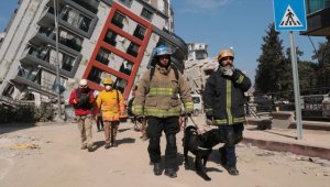 Dost patiler Türkiye'deki depremlerde can kurtarma mücadelesinin ortağı oldu