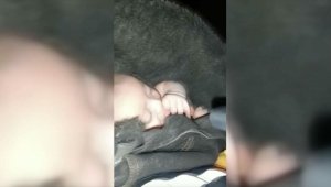 Elbistan'da 48 saat sonra kurtarılan 2 aylık bebek enkazdan elini emerek çıktı