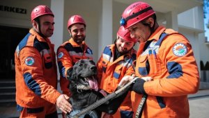 Enkazdan çıkarılan köpek kendisini sahiplenen ekiple hayat kurtaracak