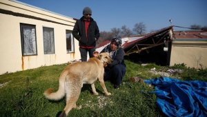 Hataylı Genco ailesini deprem gecesi köpekleri "Çilek" güvenli bölgeye çıkardı