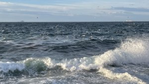 İstanbul'da vapur seferlerine lodos engeli