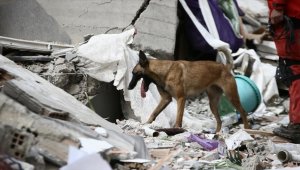 Jeofizik uzmanı Profesör Mai, Kahramanmaraş merkezli depremleri "çok sıra dışı bir durum" olarak nitelendirdi