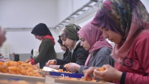 Malatya'da geri dönüşün anahtarı "kayısı"