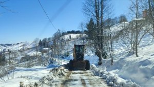 Meteoroloji'den Karadeniz'in doğusu için kar yağışı uyarısı