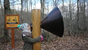 Ormanya'ya gelen ziyaretçiler, doğanın sesini akustik ortamda dinliyor