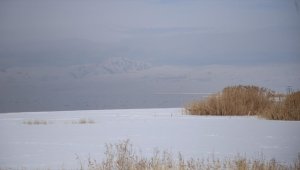 Sulak alanlardaki su kaybı kuşların yaşam alanlarını tehdit ediyor