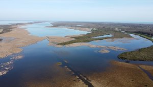 Türkiye'de 105 sulak alan bulunuyor