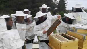 Büyükşehir KAYMEK’ten “Arıcılık” Kursu