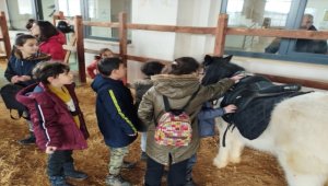 Depremzede çocuklar Sivas'ın tarihi yerlerini gezdi