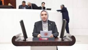 Hülya Nergis yeniden aday adayı