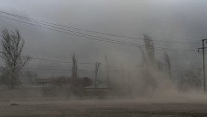 Iğdır'da fırtına etkili oluyor