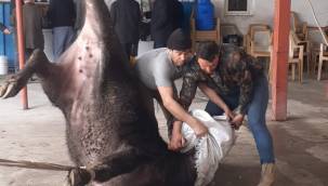 İncesulu vatandaşlar depremzedelere kurban kesti