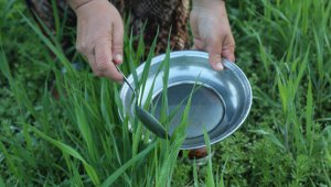 Kayseri'de "23 Mart Yoğurt Günü olsun" diyerek göle maya çaldılar