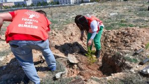 KMÜ'de depremde hayatını kaybeden öğrenciler adına fidan dikildi