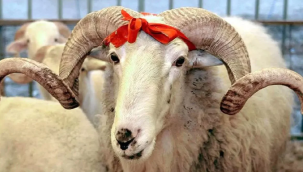 Kurban Bayramı ne zaman kutlanacak? Kurban Bayramı Ne Zaman?