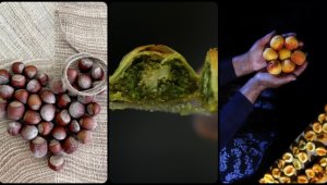 Türkiye'nin coğrafi değerleri Avrupa'da tescil sırasında