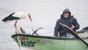 "Yaren" leylek göl manzaralı yuvasının bulunduğu Eskikaraağaç'a 12'nci yılında da geldi