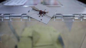 YSK oy kullanılacak gümrük kapılarını belirledi 