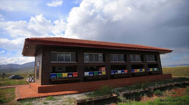 Afşin'de lavanta tarlasına kurulan arı evi depremde zarar görmedi