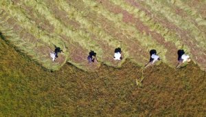 Çiftçi ve hayvan yetiştiricileri 7 bin 200 günde emekli olmayı talep ediyor