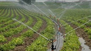 Çiftçilerin tarımsal amaçlı su kullanım hizmet bedelleri yüzde 50 desteklenecek
