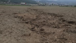 Kahramanmaraş'ta deprem tarım alanlarında kayma ve yarıklar oluşturdu