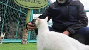 ‘Küçük Dostlar Kedi Kasabası’ projesi hayata geçti