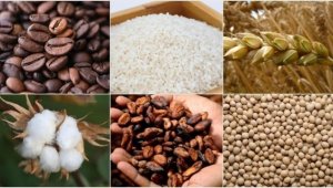 Para politikalarına ilişkin belirsizliklerle emtia piyasası üzerindeki baskı arttı