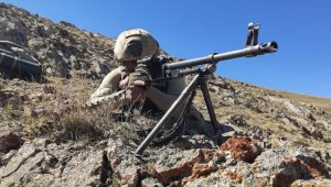 Van'da 1'i mavi kategoride yer alan 2 terörist etkisiz hale getirildi